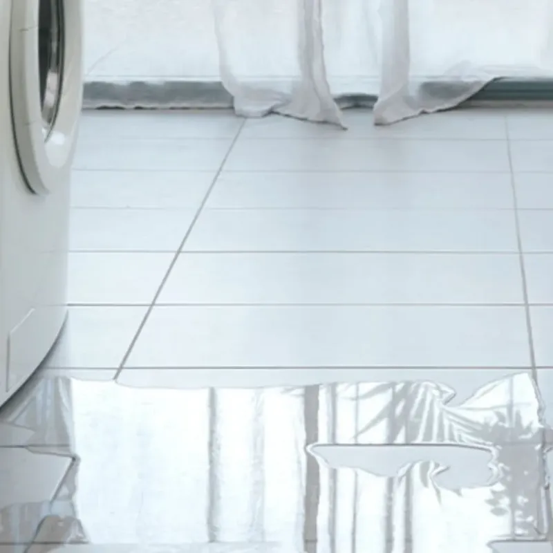Appliance Leak Cleanup in Hayward, CA