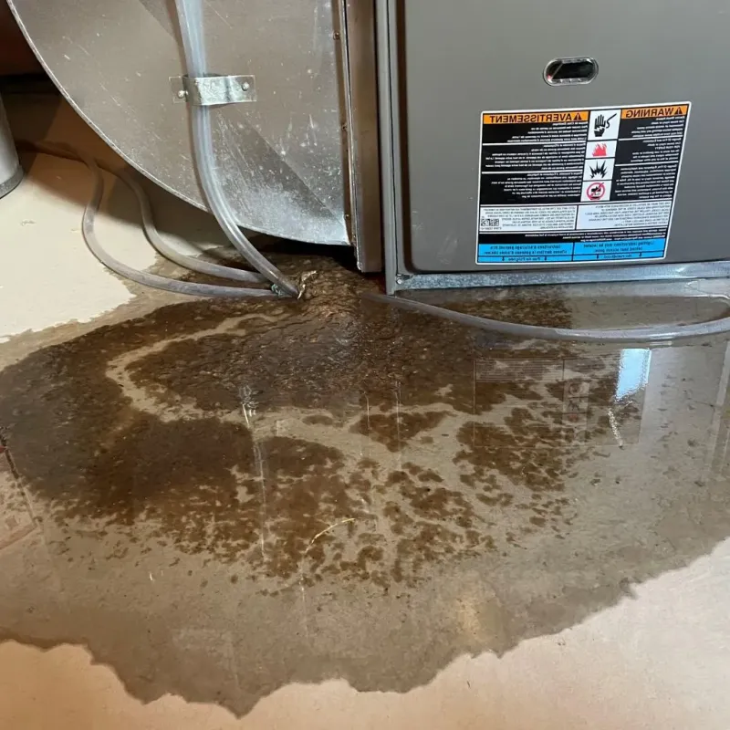 Pipe Burst and Leak Restoration in Hayward, CA